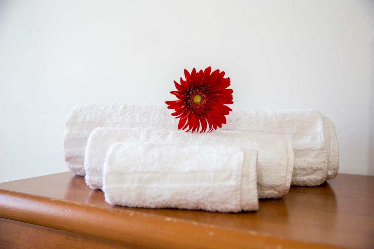 Apartament Le Terme Sotto Casa Rapolano Terme Zewnętrze zdjęcie